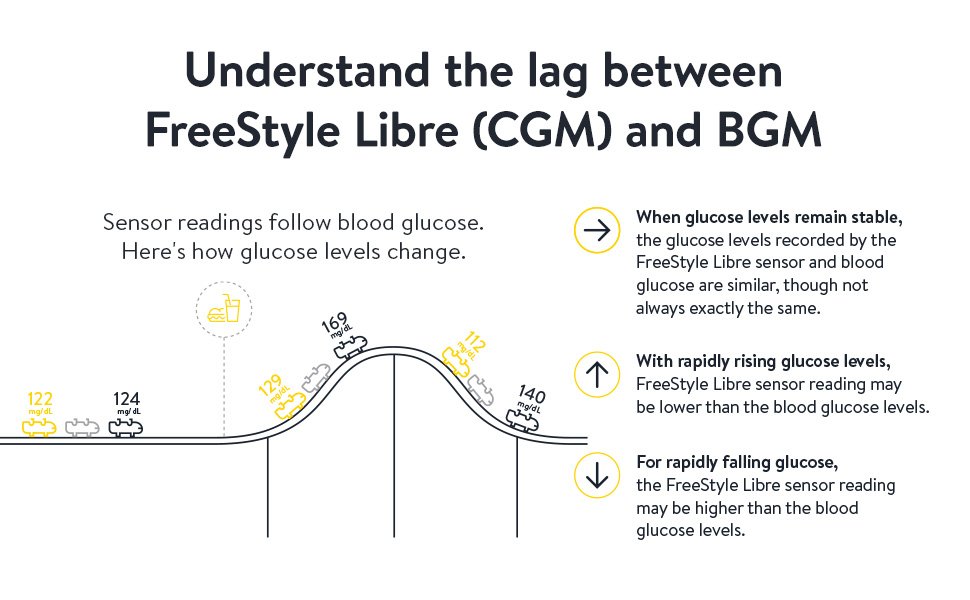Understand the lag between FreeStyle Libre (CGM) and BGM
